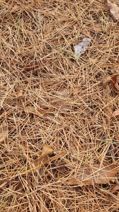 %EB%8B%A4%EC%9A%B4%EB%A1%9C%EB%93%9C_(1).jpg?typew1