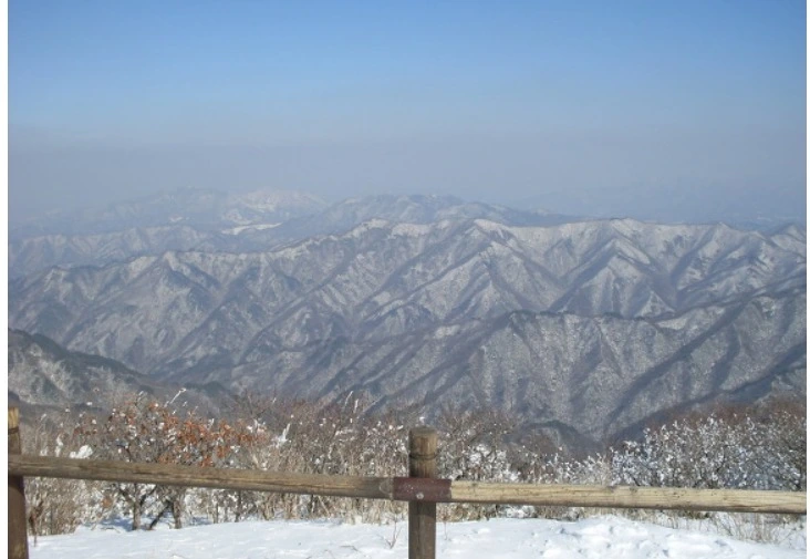 %EC%9B%B9_%EC%BA%A1%EC%B2%98_19-2-2022_12452_blog.daum.net.jpeg?type=w1