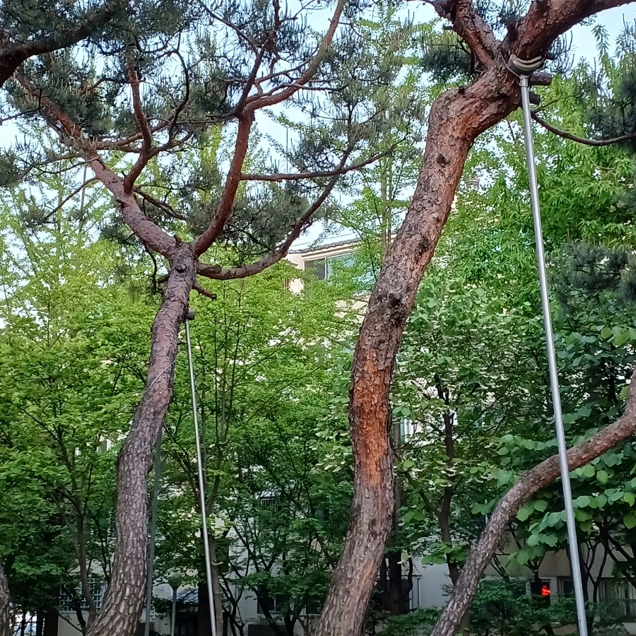 20220509%EF%BC%BF192151.jpg?type=w1