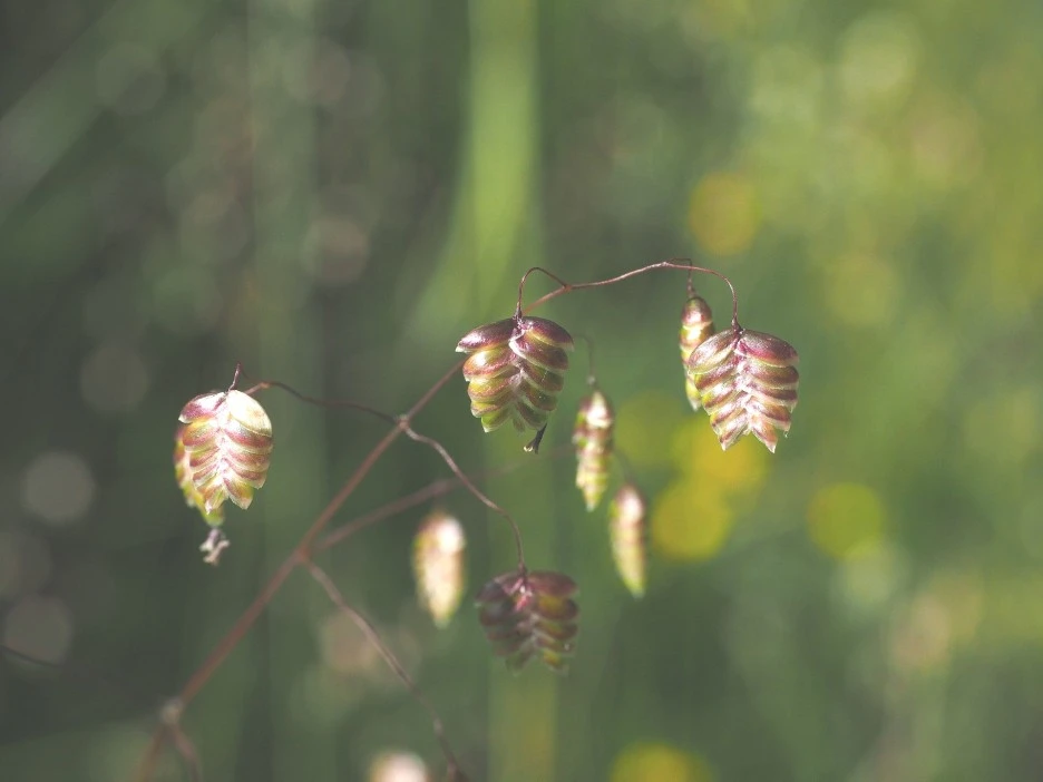 SE-3e05db6e-9292-4f90-999f-5c9b56545fc4.jpg?type=w1