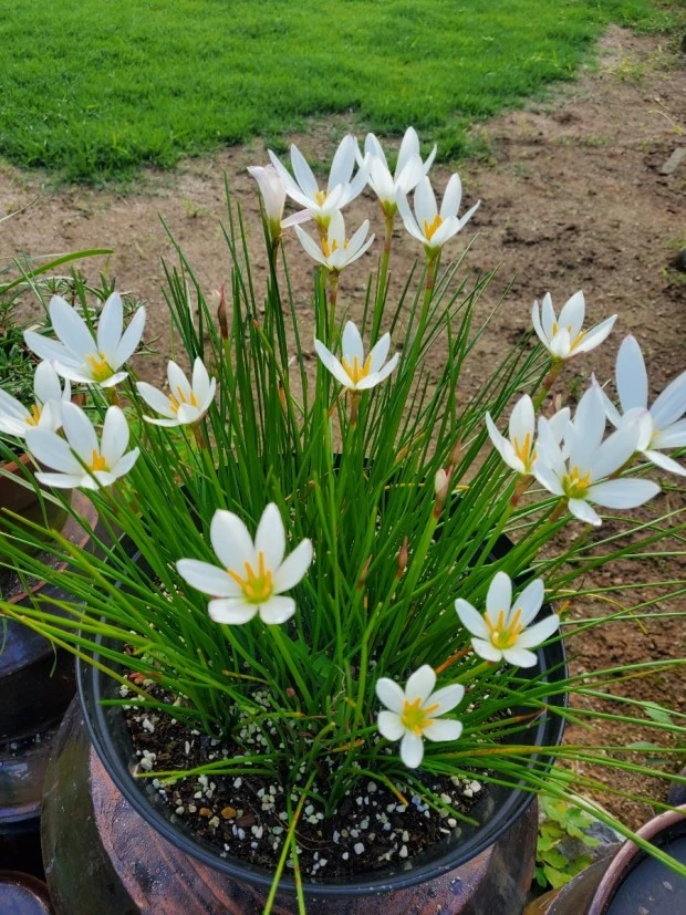 %EC%83%A4%ED%94%84%EB%9E%804.jpg?type=w1