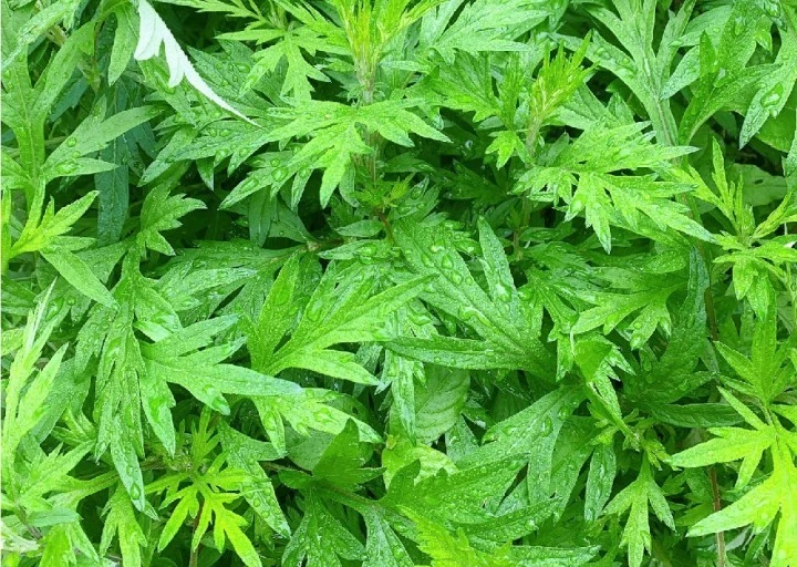 %EB%8B%A4%EC%9A%B4%EB%A1%9C%EB%93%9C_(1).jpg?type=w1