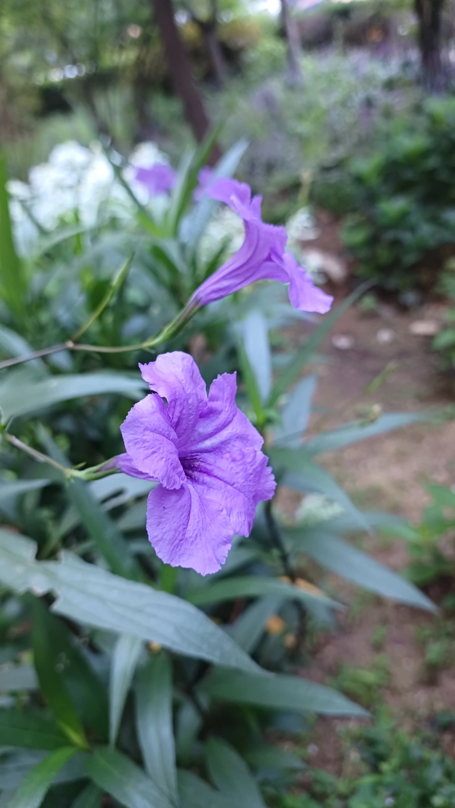 20220818%EF%BC%BF063208.jpg?type=w1