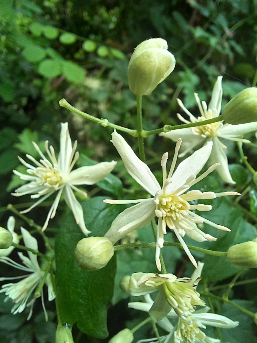 20220829%EF%BC%BF142134.jpg?type=w1