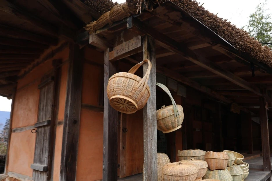 thatch-roofed-house-6923360_1920.jpg?typew1