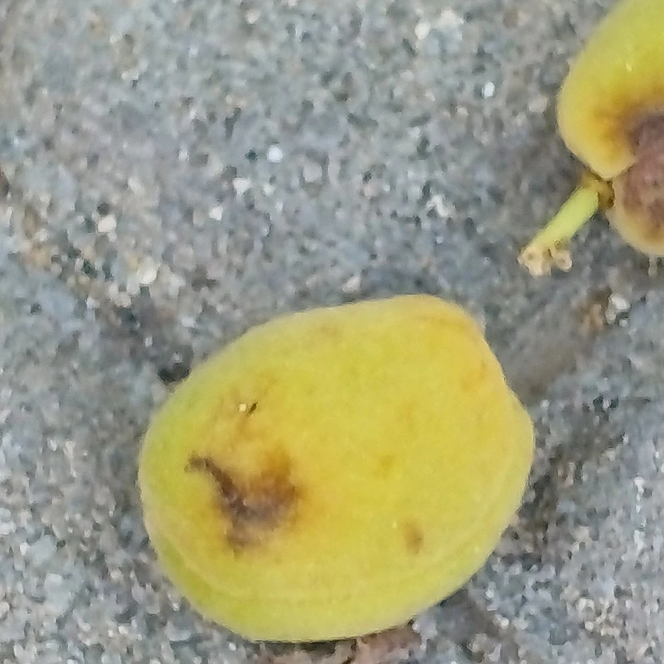 20220514_074933.jpg?type=w1