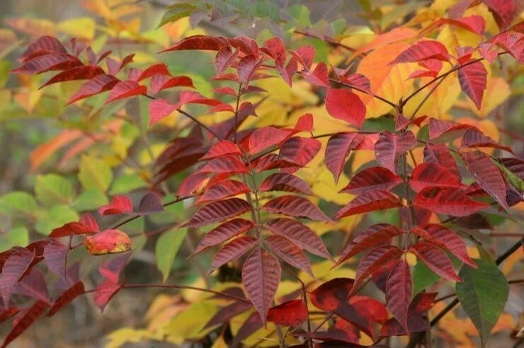 BandPhoto%EF%BC%BF2020%EF%BC%BF11%EF%BC%BF25%EF%BC%BF13%EF%BC%BF48%EF%BC%BF40.jpg?type=w1