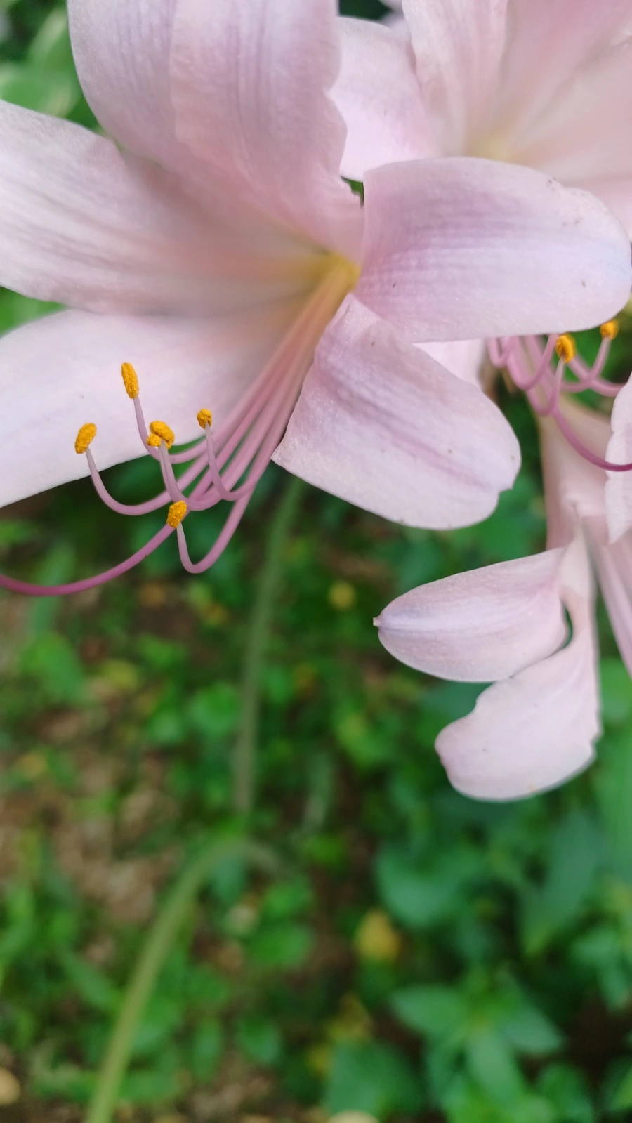 20220818%EF%BC%BF153011.jpg?type=w1