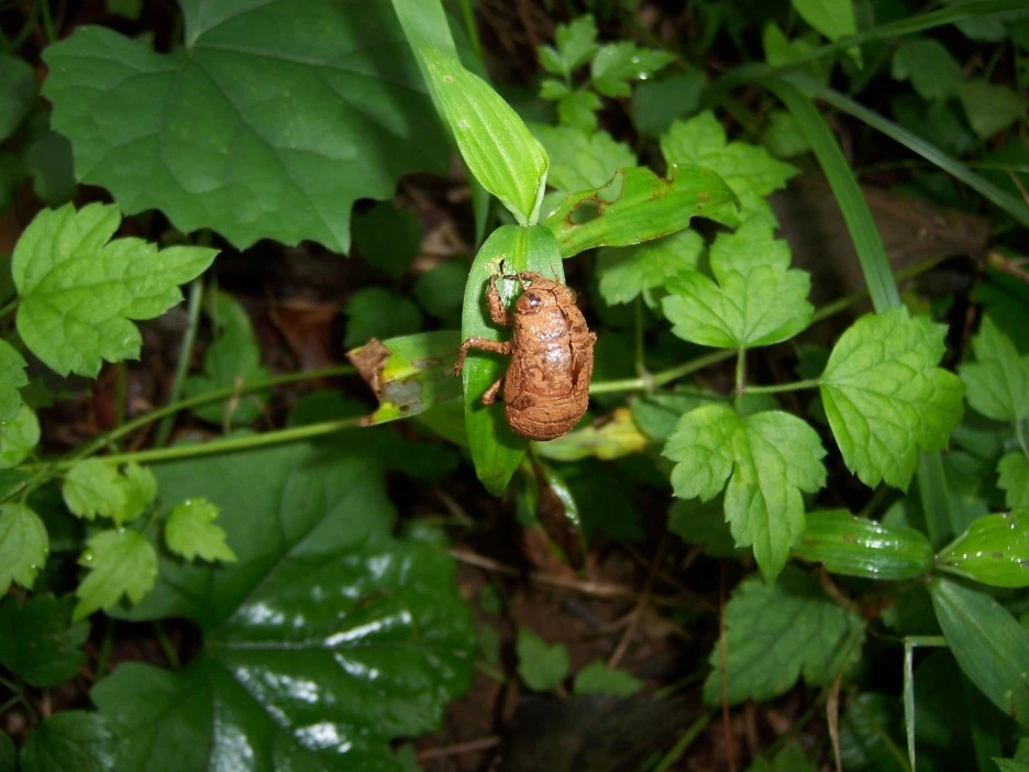 100_4139.jpg?type=w1