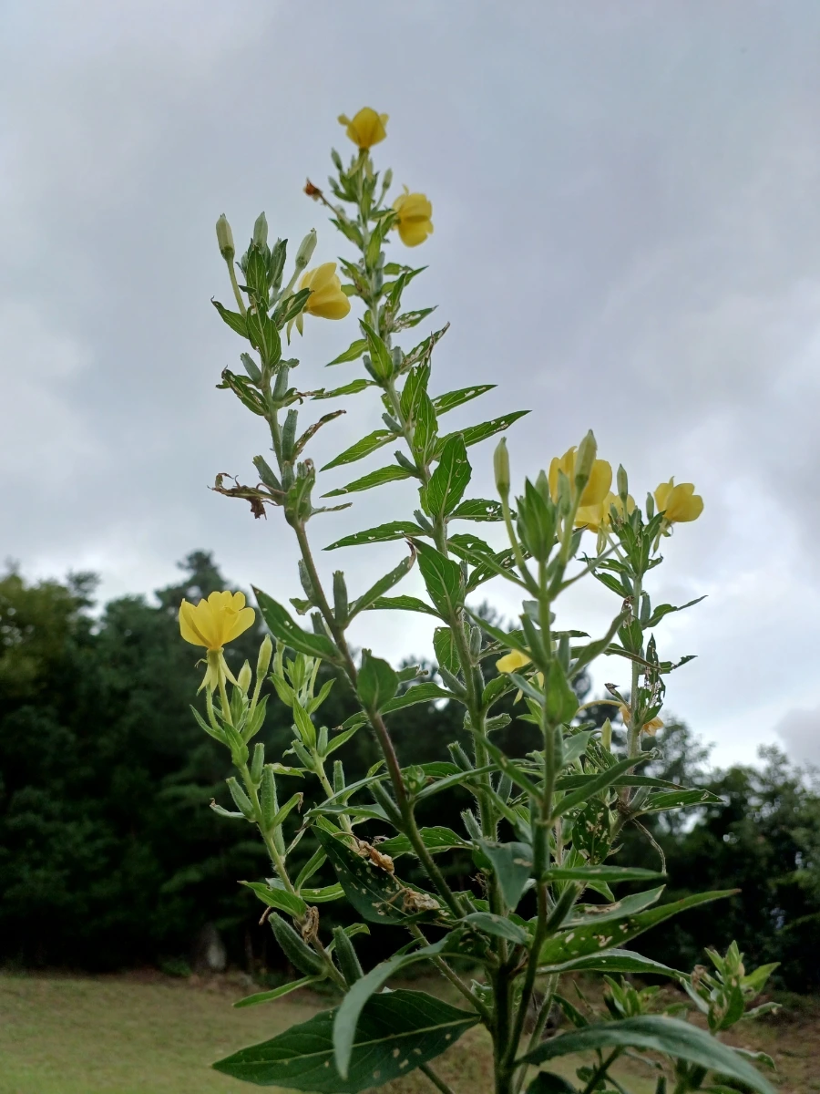 20220903%EF%BC%BF120459.jpg?type=w1