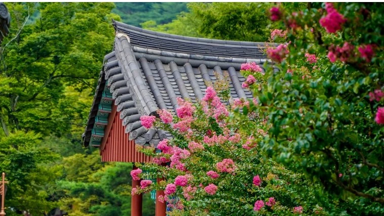 Screenshot 2022-07-11 at 14.43.10.JPG