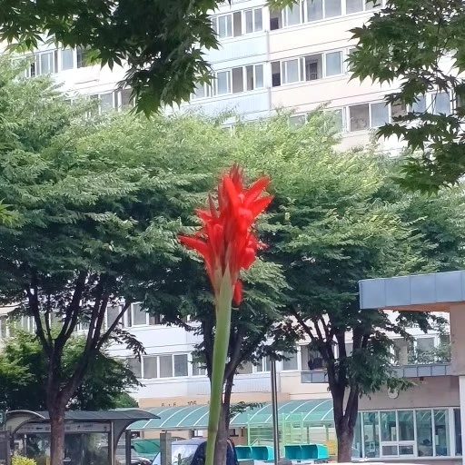 12%EB%8B%A8%EC%A7%80_%EC%9C%A0%EC%B9%98%EC%9B%90_%EC%B9%B8%EB%82%98,_%EB%B4%89%EC%84%A0%ED%99%94,_%EA%B3%84%EC%98%A4%EB%93%B1_013.jpg?type=w1