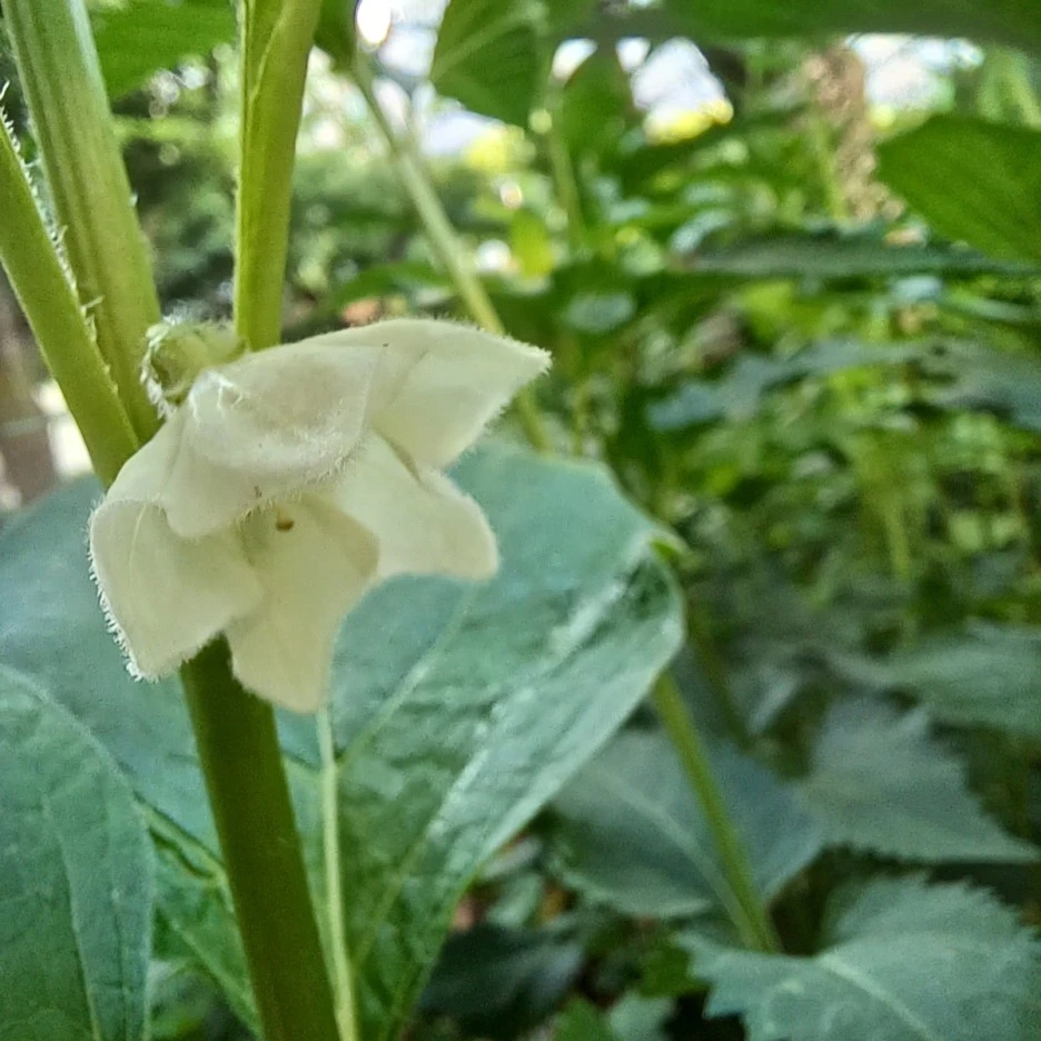 20220514_073207.jpg?type=w1