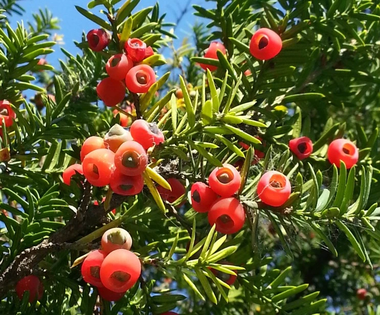 SE-d4415883-4ea7-42f8-ae73-bd8804e8d84a.jpg?type=w1