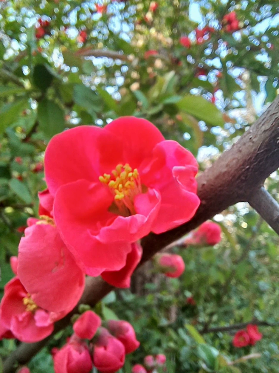 20230331_171144.jpg?type=w1