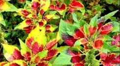 SE-17b7fc4b-1975-44c7-ac84-0a8cfda8cb16.jpg?type=w1