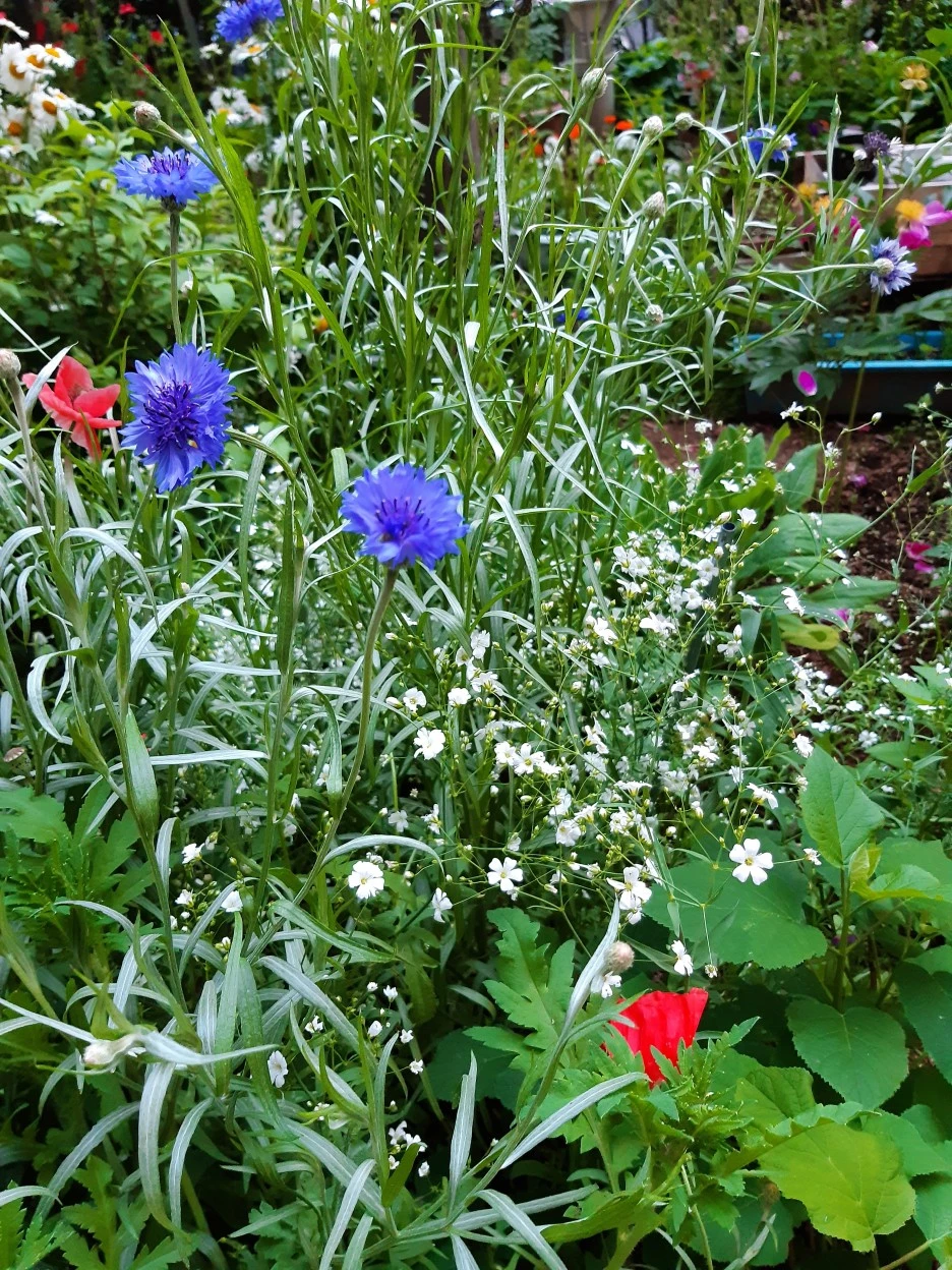 20200517_191924.jpg?type=w1