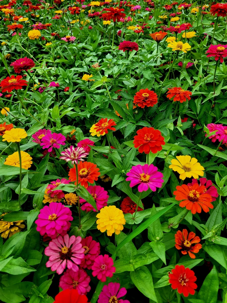 20220730%EF%BC%BF170818.jpg?type=w1