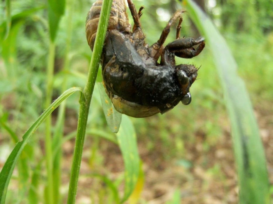 %EB%A7%A4%EB%AF%B8%ED%83%88%EB%B0%943.jpg?type=w1