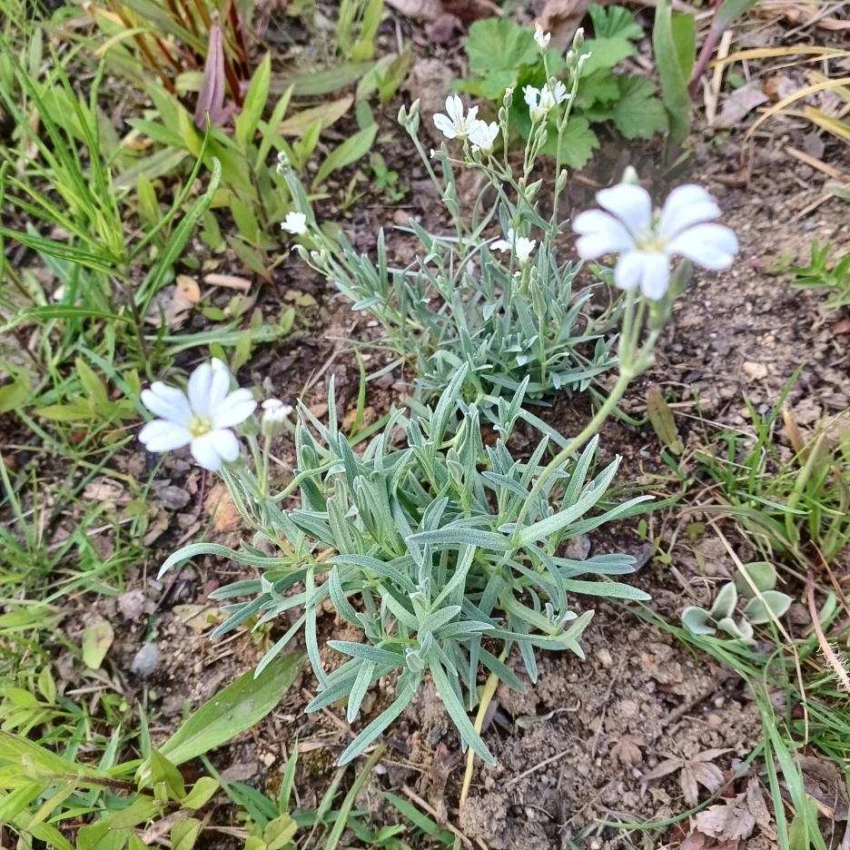 20220517_183301.jpg?type=w1