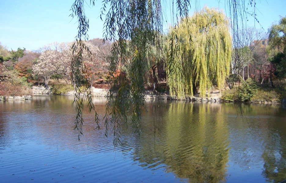 SE-2403d958-27b1-47b5-9367-7811b75f77fd.jpg?type=w1