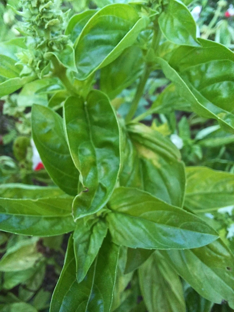 20221007_165423.jpg?type=w1