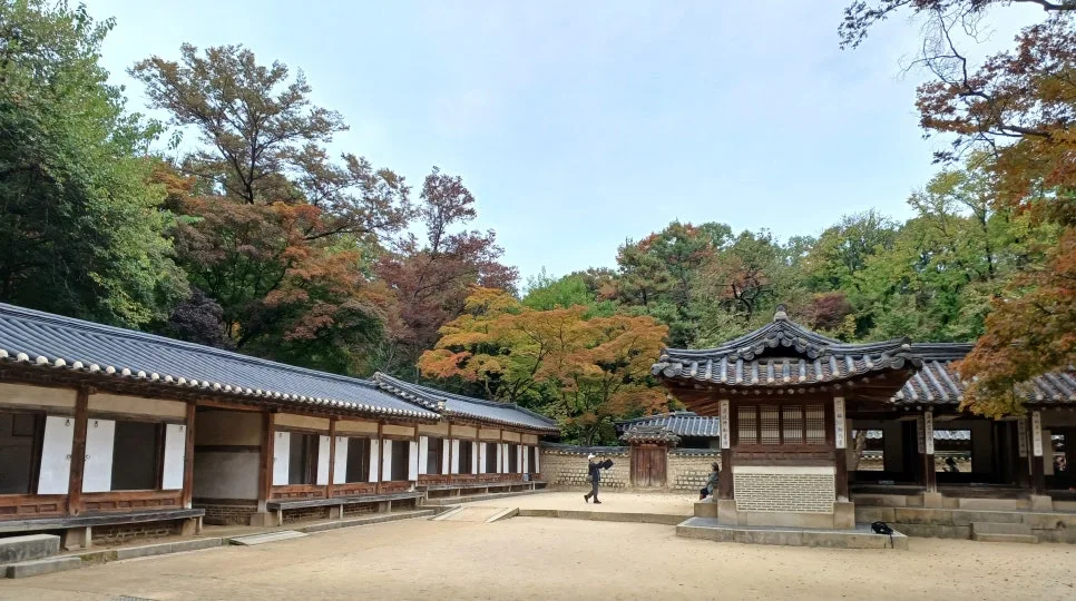 20241027_131741.jpg?type=w966