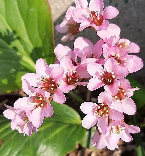 SE-7aecc815-f225-4ab7-9175-2db7ab6d00bc.jpg?typew1