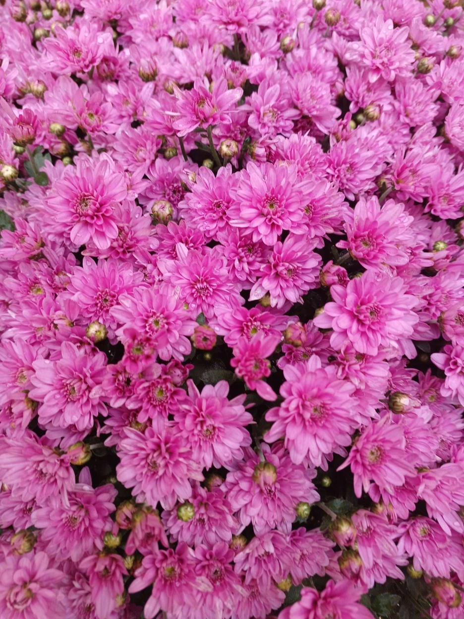 20220929_105956.jpg?type=w1