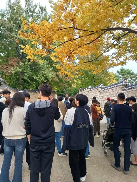 20241027_125703.jpg?type=w466