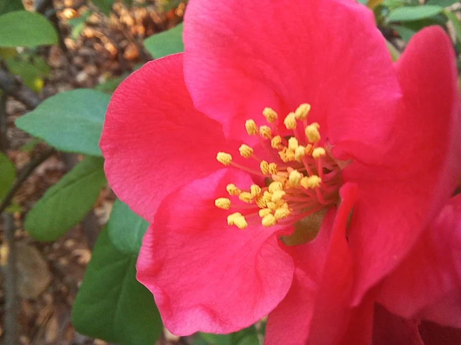 20230402_071031.jpg?type=w1