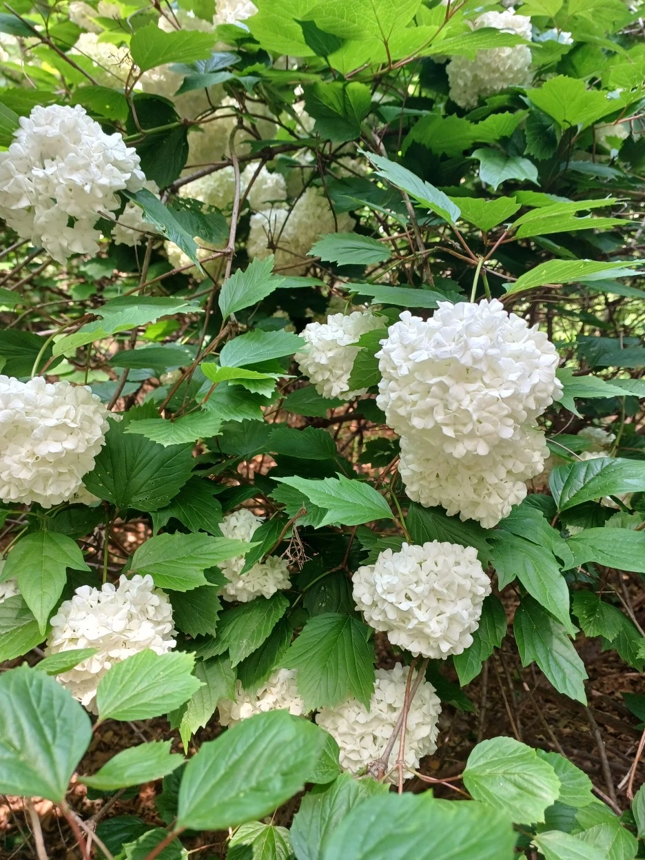 20230514_102646.jpg?type=w1