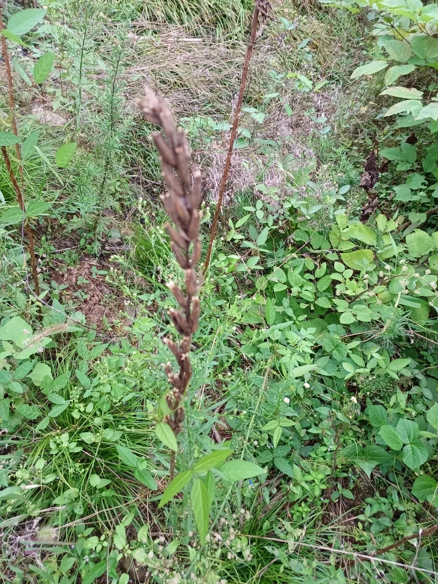 20220903%EF%BC%BF120055.jpg?type=w1