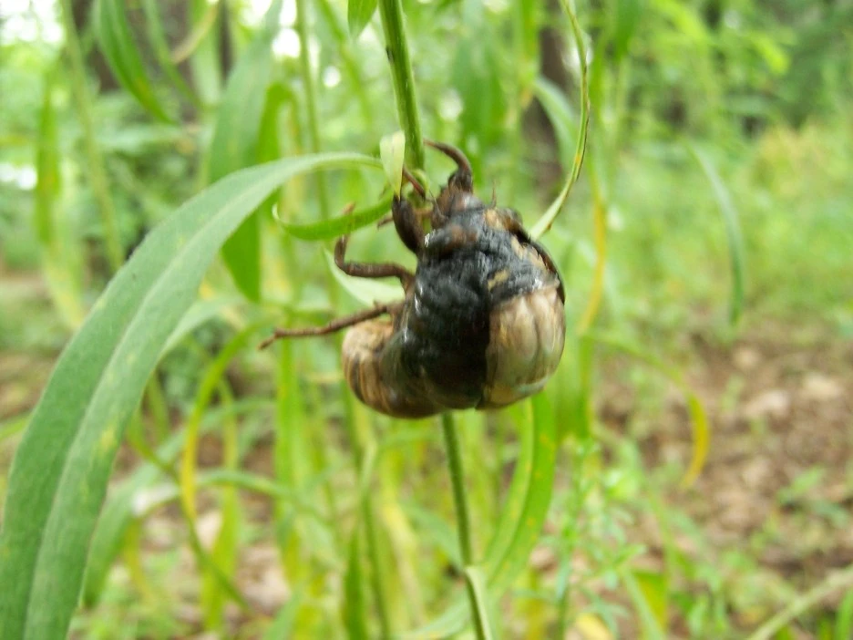 %EB%A7%A4%EB%AF%B8%ED%83%88%EB%B0%9413.jpg?type=w1