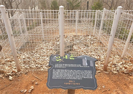 0826_img01_%EA%B3%A0%EC%B2%99%EB%8F%99_%EA%B3%A0%EC%9D%B8%EB%8F%8C.jpg?type=w1