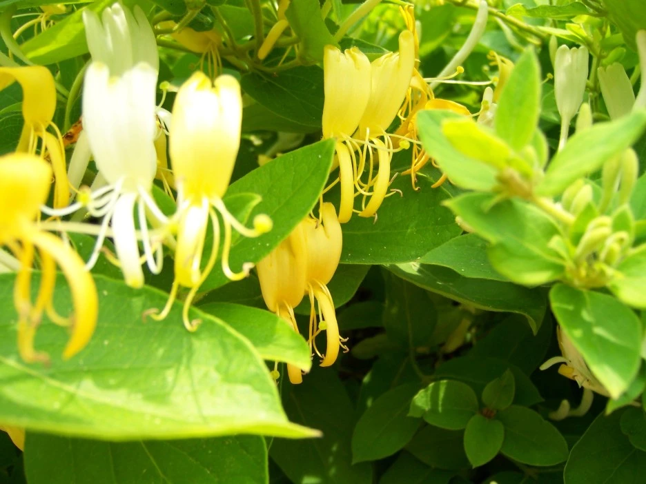 100_1761.jpg?type=w1