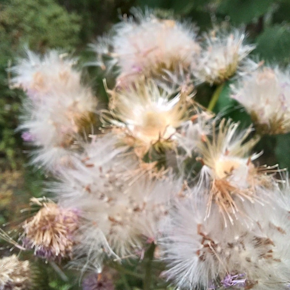 20220529_082523.jpg?type=w1