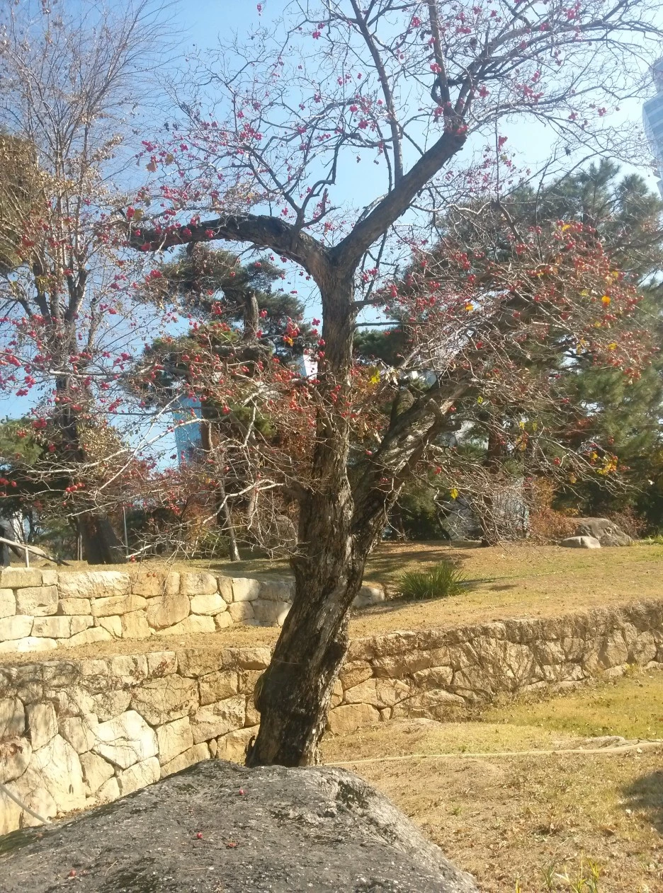 %EB%B4%89%EC%9D%80%EC%82%AC_%EA%B0%90%EB%82%98%EB%AC%B4.jpg?type=w1