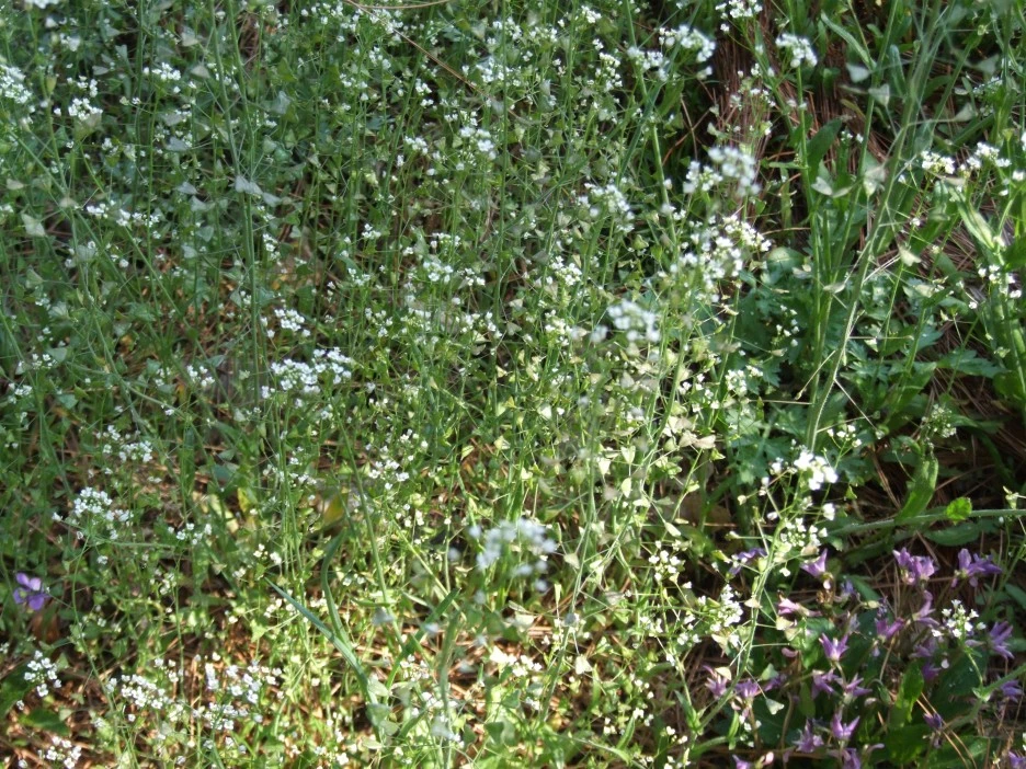 DSCF1668.JPG?type=w1