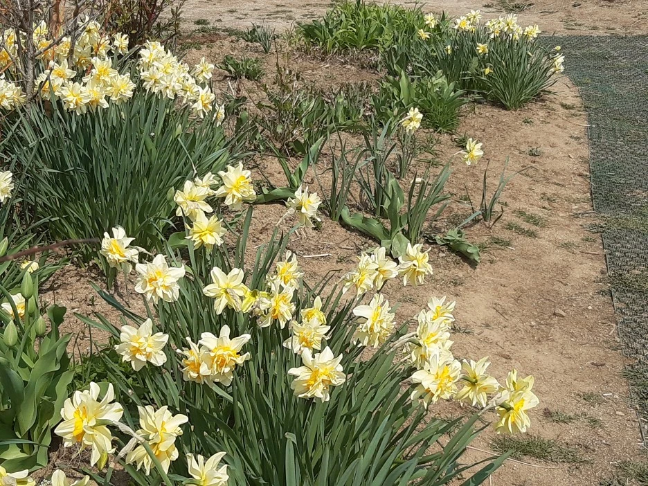 20220409_115214.jpg?type=w1