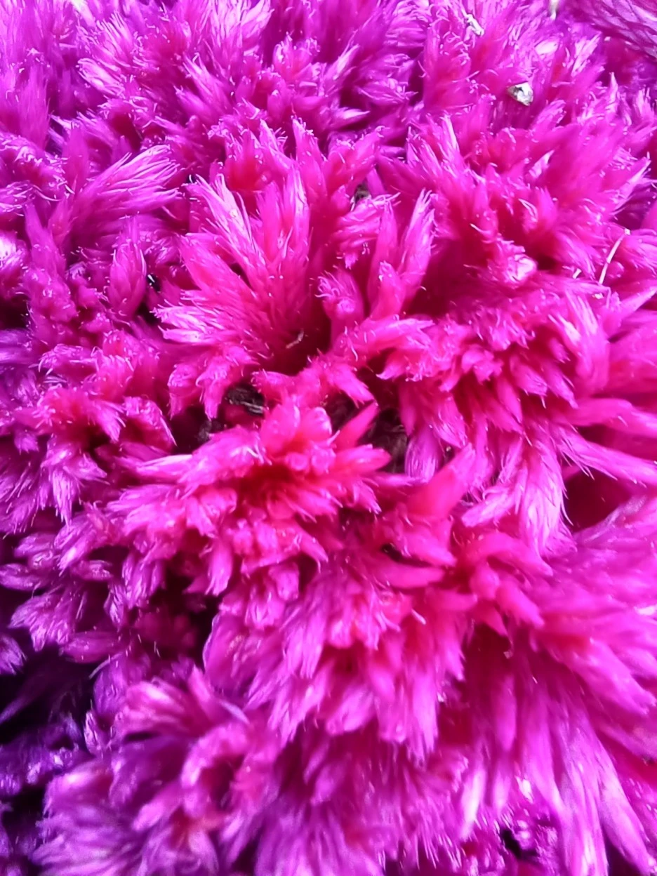 20221007_170817.jpg?type=w1