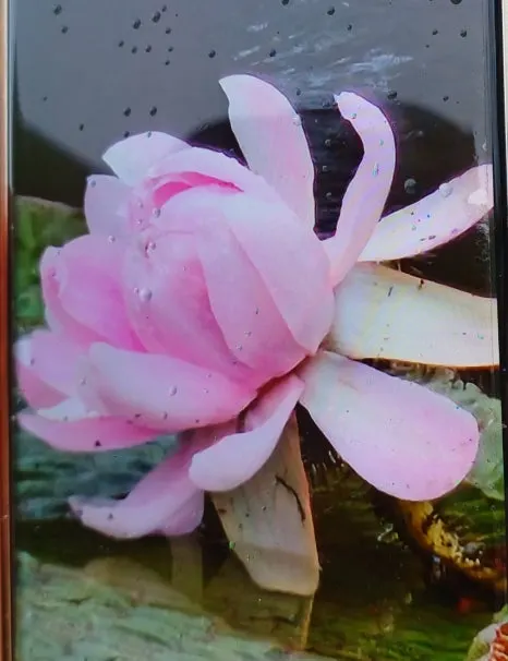 SE-cf3ccd5a-c26a-450d-882d-8feec4ea9cb6.jpg?type=w466