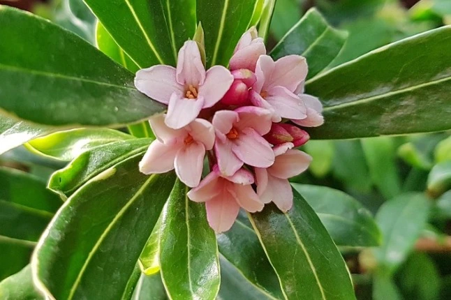 웹 캡처_13-12-2022_15425_blog.naver.com.jpeg