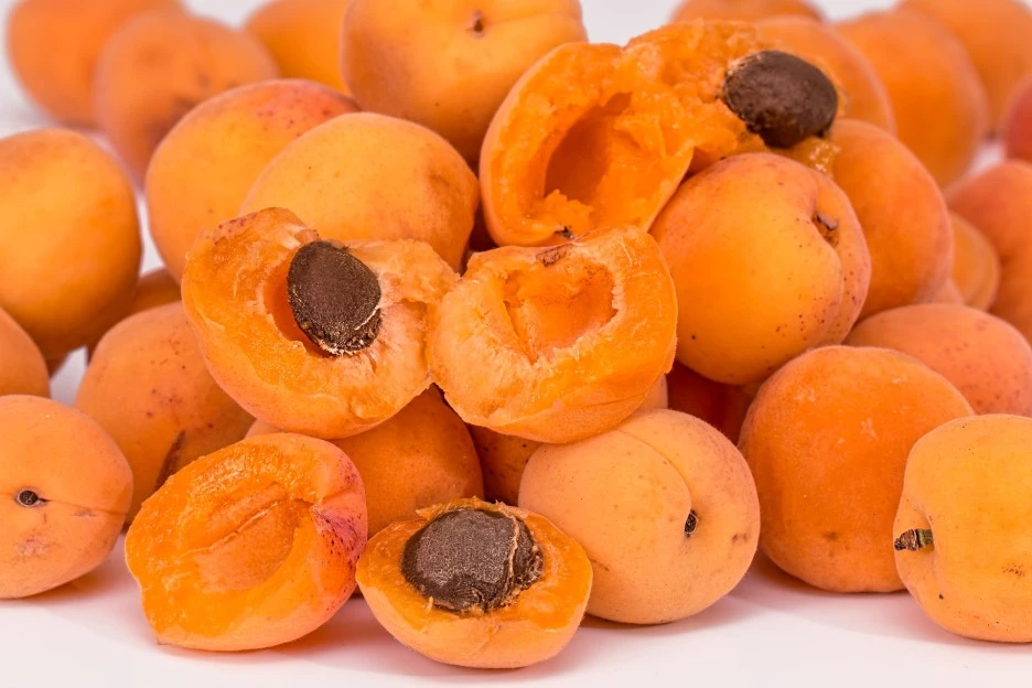 apricots-2994801_1920.jpg?type=w1