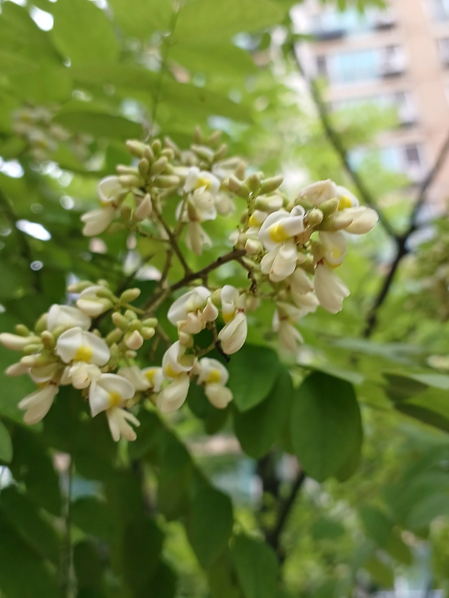 20220721%EF%BC%BF131756.jpg?type=w1