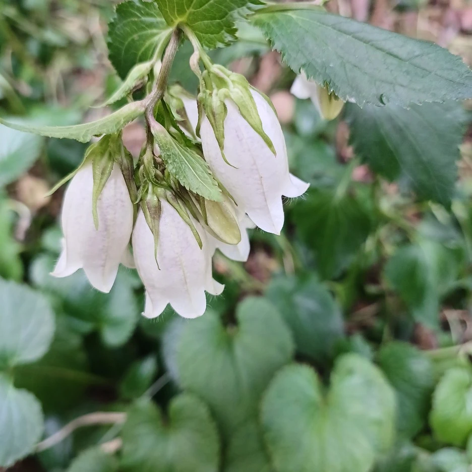 20220529_083125.jpg?type=w1