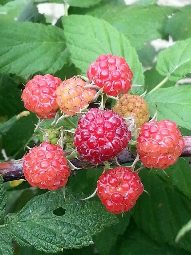 %EB%8B%A4%EC%9A%B4%EB%A1%9C%EB%93%9C_(3).jpg?type=w1