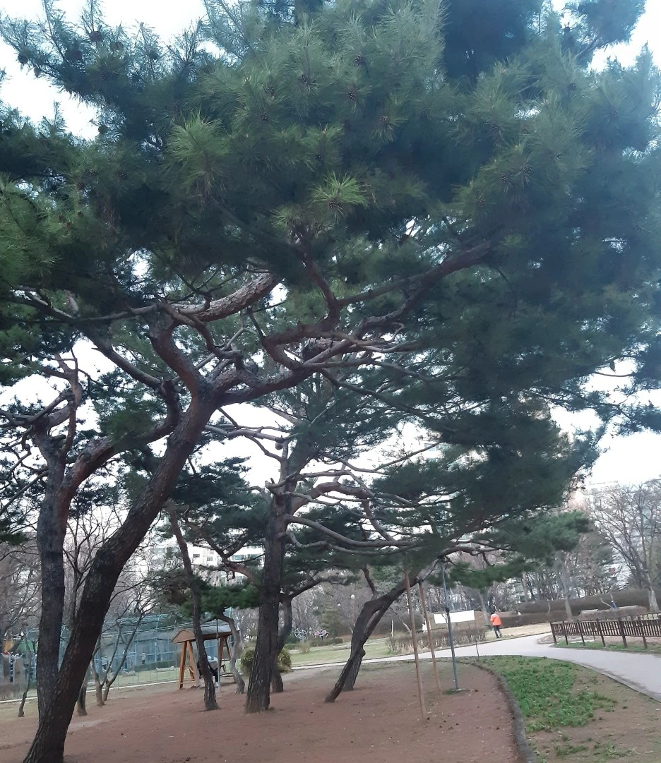 SE-dc9c2661-b191-433a-b036-8d9aafb2e027.jpg?type=w1