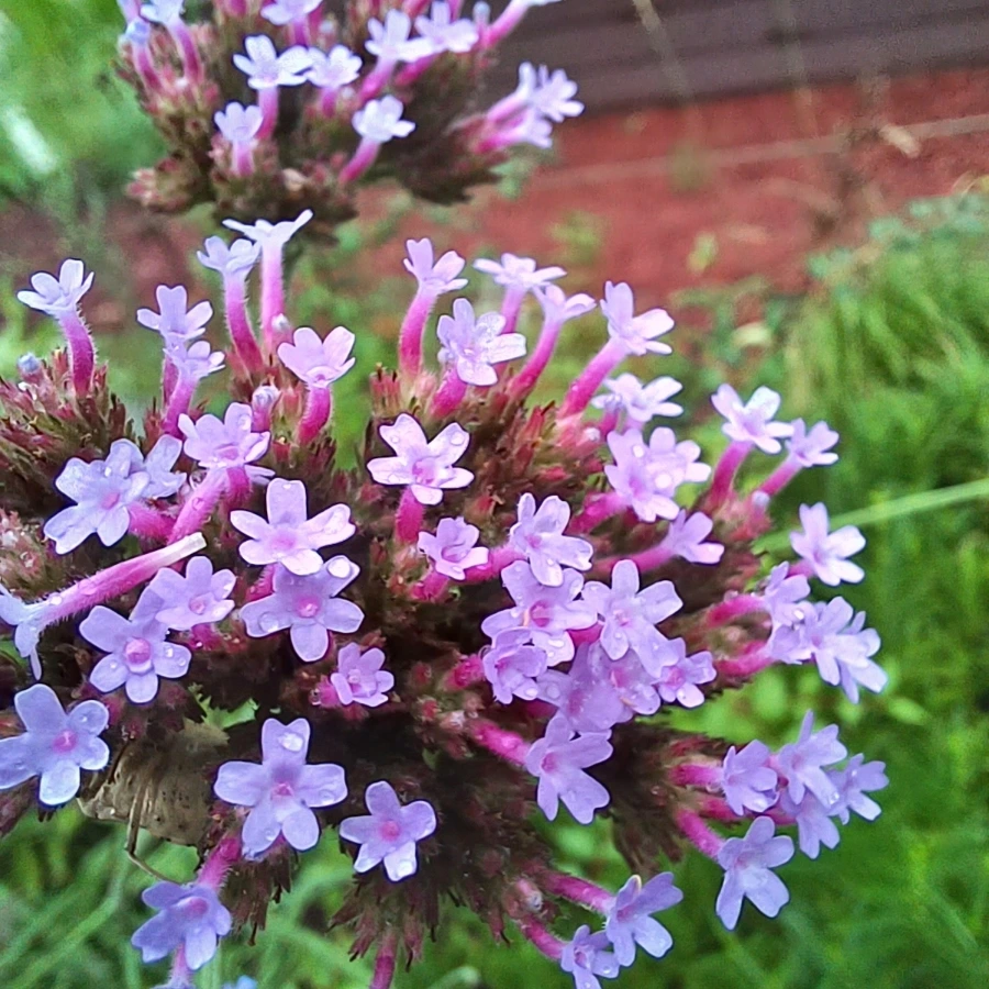 20220629%EF%BC%BF183822.jpg?type=w1