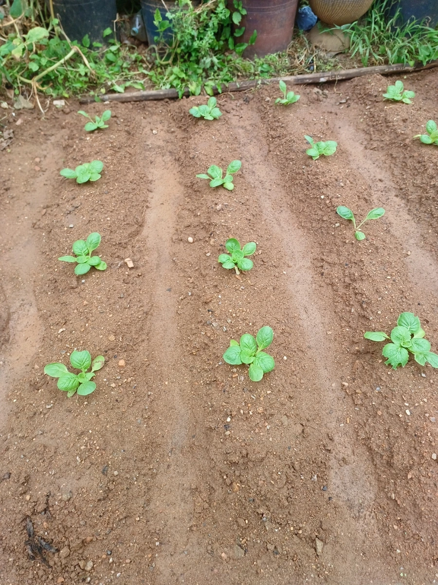 20220829%EF%BC%BF135750.jpg?type=w1